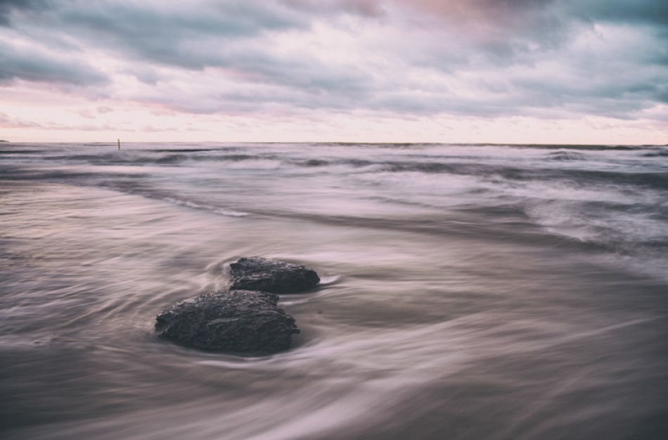 qwdqw. . Zdjęcie 337352