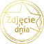 Zdjęcie dnia